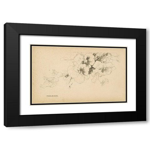 Pansies Black Modern Wood Framed Art Print with Double Matting by Art Licensing Studio