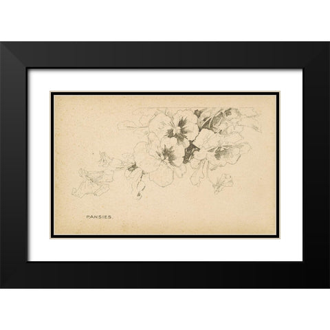Pansies Black Modern Wood Framed Art Print with Double Matting by Art Licensing Studio