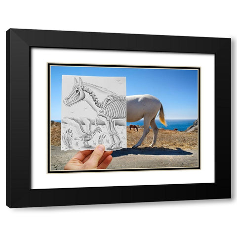 Pencil Vs Camera 40 - The Skeletons Black Modern Wood Framed Art Print with Double Matting by Heine, Ben