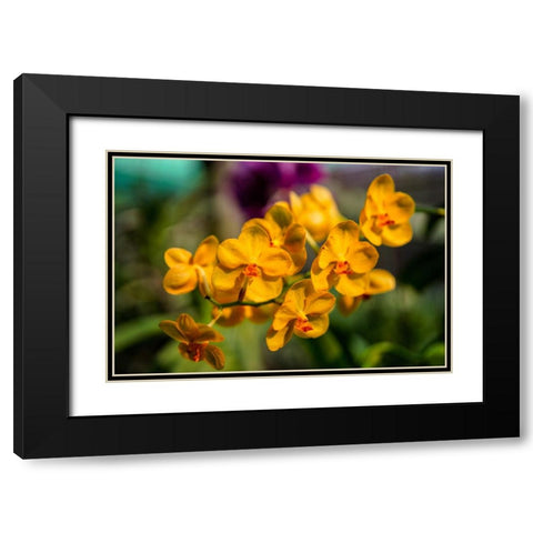 Thailand - 85 Black Modern Wood Framed Art Print with Double Matting by Heine, Ben