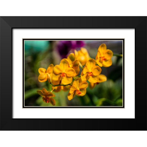 Thailand - 85 Black Modern Wood Framed Art Print with Double Matting by Heine, Ben