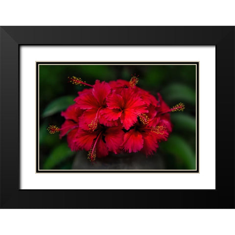 Thailand - 165 Black Modern Wood Framed Art Print with Double Matting by Heine, Ben