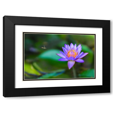 Thailand 2 - 214 Black Modern Wood Framed Art Print with Double Matting by Heine, Ben