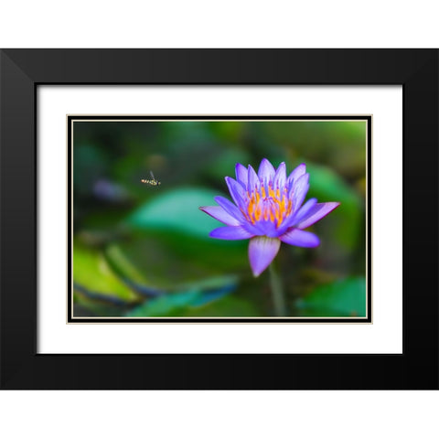 Thailand 2 - 214 Black Modern Wood Framed Art Print with Double Matting by Heine, Ben