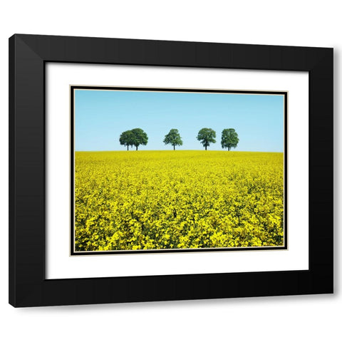 Brothers Black Modern Wood Framed Art Print with Double Matting by Heine, Ben