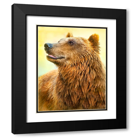 Cute Bear Black Modern Wood Framed Art Print with Double Matting by Heine, Ben
