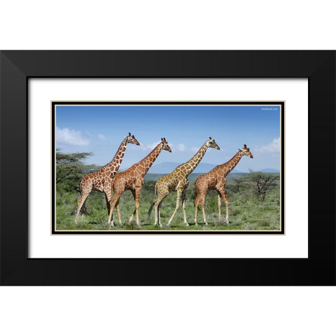 Happy Together Black Modern Wood Framed Art Print with Double Matting by Heine, Ben