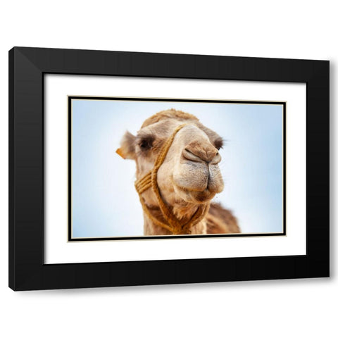 Tunisia 28 Black Modern Wood Framed Art Print with Double Matting by Heine, Ben