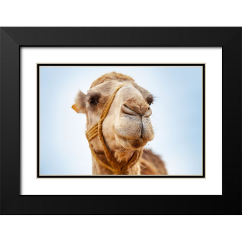 Tunisia 28 Black Modern Wood Framed Art Print with Double Matting by Heine, Ben