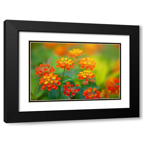 Tunisia 58 Black Modern Wood Framed Art Print with Double Matting by Heine, Ben