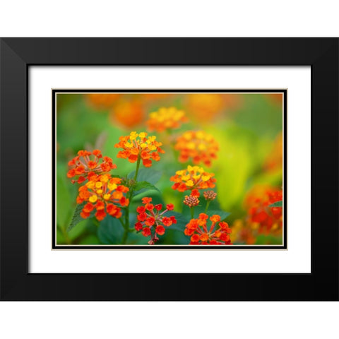 Tunisia 58 Black Modern Wood Framed Art Print with Double Matting by Heine, Ben