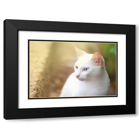 Tunisia 69 Black Modern Wood Framed Art Print with Double Matting by Heine, Ben