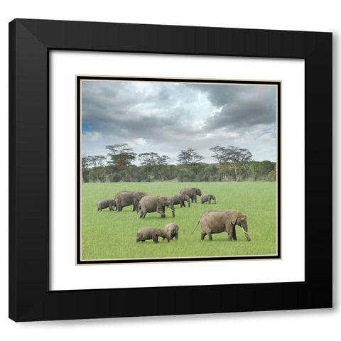 We Are Family 2 Black Modern Wood Framed Art Print with Double Matting by Heine, Ben