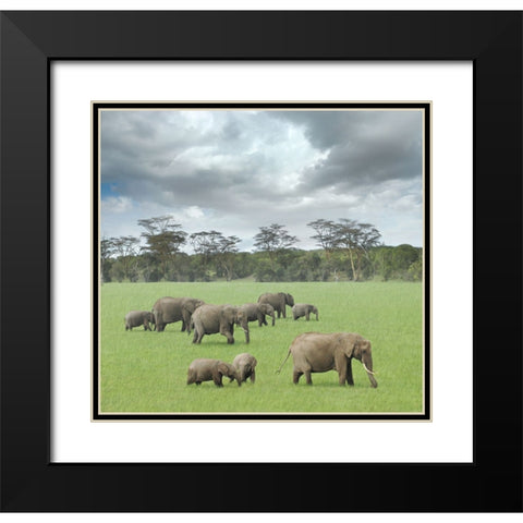 We Are Family 2 Black Modern Wood Framed Art Print with Double Matting by Heine, Ben