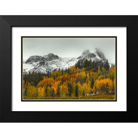 A Rocky Mountain Autumn Black Modern Wood Framed Art Print with Double Matting by Sherrell, Bill