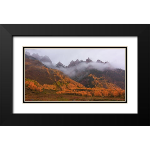 A Walk In The Autumn Mist Black Modern Wood Framed Art Print with Double Matting by Sherrell, Bill