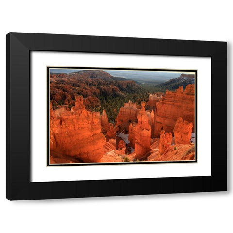 Illumination Black Modern Wood Framed Art Print with Double Matting by Sherrell, Bill