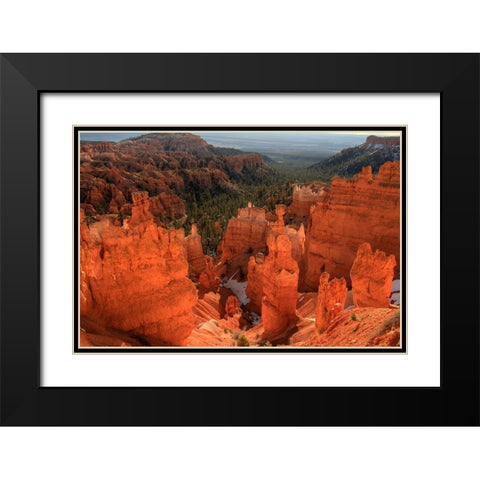 Illumination Black Modern Wood Framed Art Print with Double Matting by Sherrell, Bill