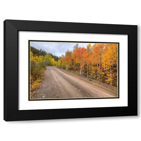 The Road To Color Black Modern Wood Framed Art Print with Double Matting by Sherrell, Bill