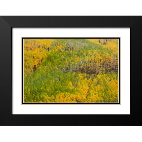Transition Black Modern Wood Framed Art Print with Double Matting by Sherrell, Bill