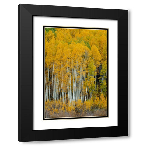 United We Stand 2 Black Modern Wood Framed Art Print with Double Matting by Sherrell, Bill