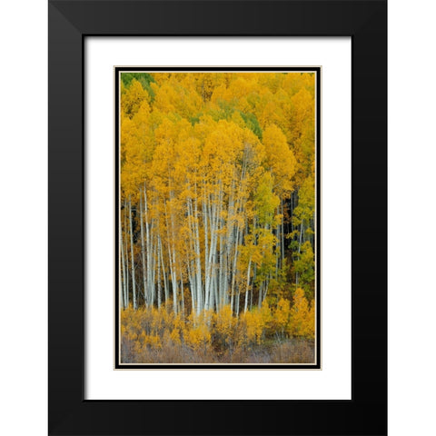 United We Stand 2 Black Modern Wood Framed Art Print with Double Matting by Sherrell, Bill