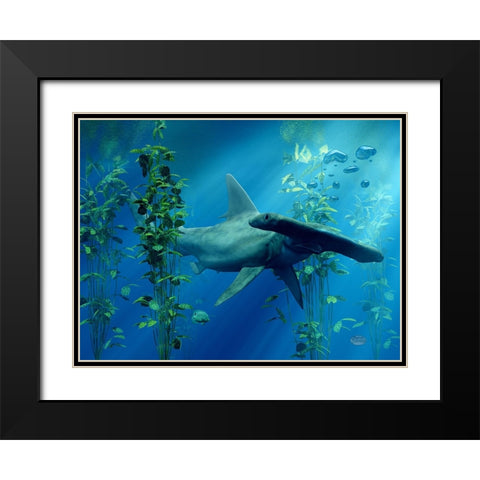 Hammerhead Black Modern Wood Framed Art Print with Double Matting by Eskridge, Daniel