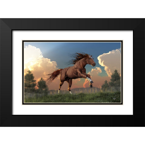 Running Free Black Modern Wood Framed Art Print with Double Matting by Eskridge, Daniel