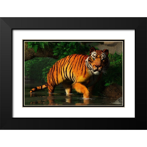 Wading Tiger Black Modern Wood Framed Art Print with Double Matting by Eskridge, Daniel