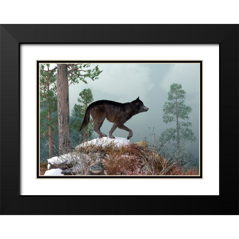 Winter Wolf Black Modern Wood Framed Art Print with Double Matting by Eskridge, Daniel