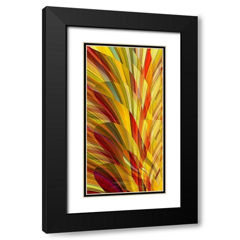 Flower Petals Black Modern Wood Framed Art Print with Double Matting by Manlove, David