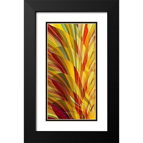 Flower Petals Black Modern Wood Framed Art Print with Double Matting by Manlove, David