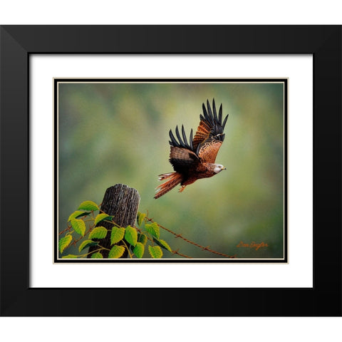 Red Kite Black Modern Wood Framed Art Print with Double Matting by Engler, Don
