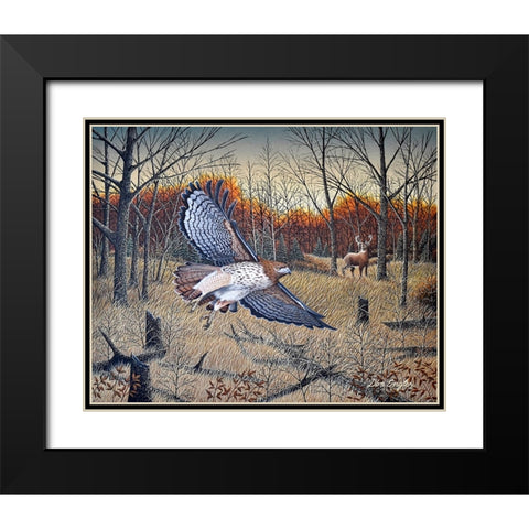 Red-Tailed Hawk Black Modern Wood Framed Art Print with Double Matting by Engler, Don