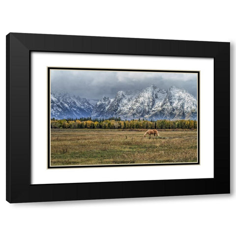 Fine Dining In The Tetons Black Modern Wood Framed Art Print with Double Matting by Galloimages Online