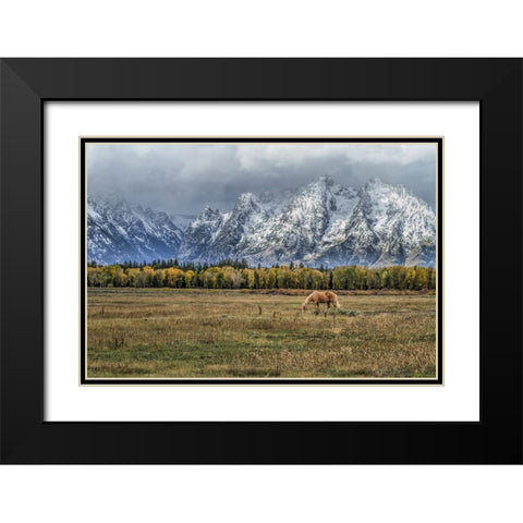 Fine Dining In The Tetons Black Modern Wood Framed Art Print with Double Matting by Galloimages Online