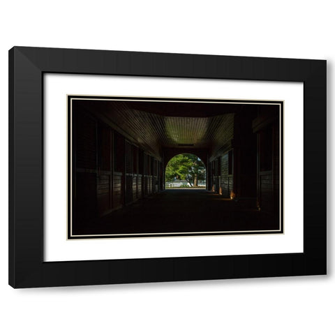Horse Farm Barn (Inside And Out) Black Modern Wood Framed Art Print with Double Matting by Galloimages Online