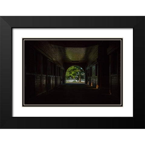Horse Farm Barn (Inside And Out) Black Modern Wood Framed Art Print with Double Matting by Galloimages Online