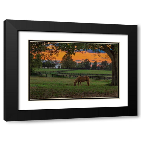 Horse Farm Sunset Black Modern Wood Framed Art Print with Double Matting by Galloimages Online
