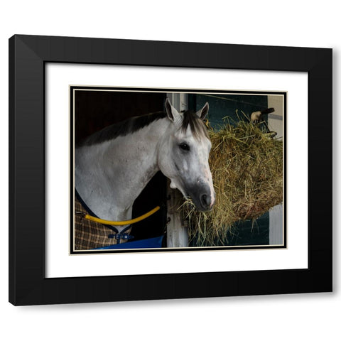 Pre-Race Wheaties Black Modern Wood Framed Art Print with Double Matting by Galloimages Online