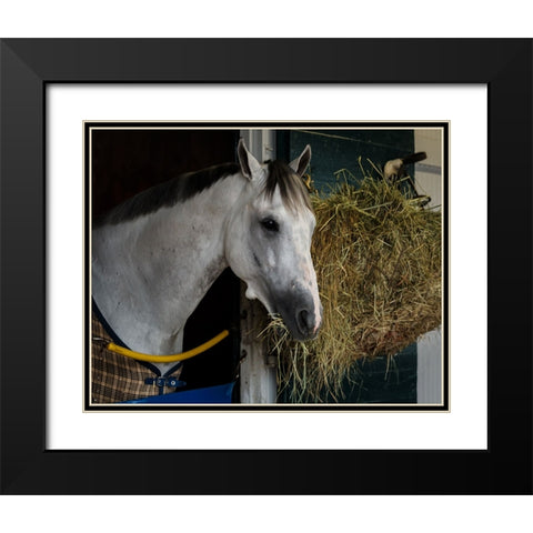 Pre-Race Wheaties Black Modern Wood Framed Art Print with Double Matting by Galloimages Online