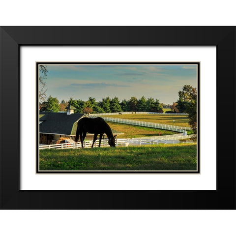 Sunset On The Farm Black Modern Wood Framed Art Print with Double Matting by Galloimages Online