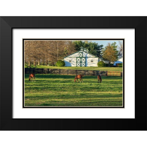Horse Farm Landscape Black Modern Wood Framed Art Print with Double Matting by Galloimages Online