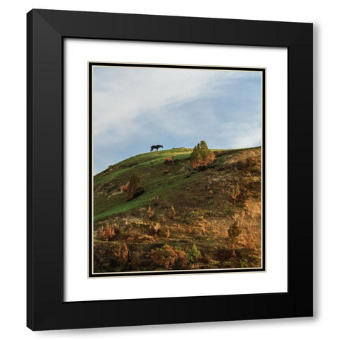 Horse On Hill (TRNP) Black Modern Wood Framed Art Print with Double Matting by Galloimages Online