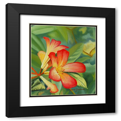 Small Red Flower Black Modern Wood Framed Art Print with Double Matting by Stevenson, Graeme