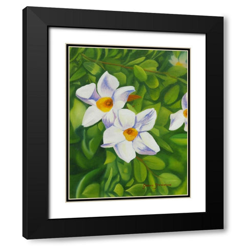White Flower Black Modern Wood Framed Art Print with Double Matting by Stevenson, Graeme