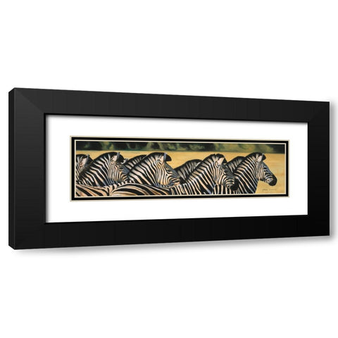 Zebras Black Modern Wood Framed Art Print with Double Matting by Stevenson, Graeme