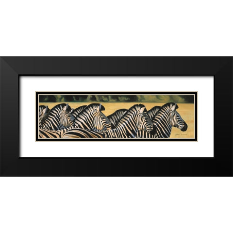 Zebras Black Modern Wood Framed Art Print with Double Matting by Stevenson, Graeme