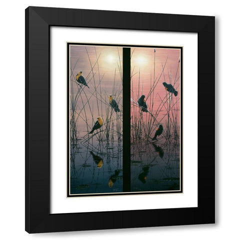 Red Winged And Yellow Headed Blackbirds Black Modern Wood Framed Art Print with Double Matting by Tift, Jeff