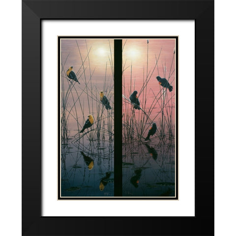 Red Winged And Yellow Headed Blackbirds Black Modern Wood Framed Art Print with Double Matting by Tift, Jeff